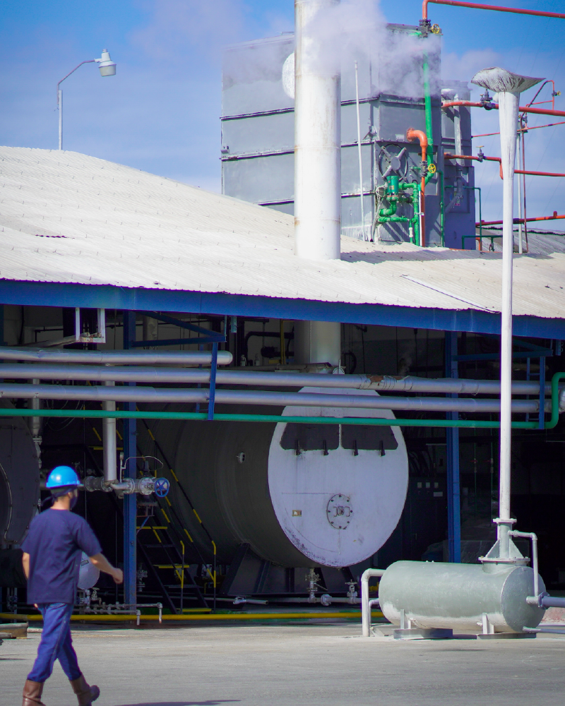 Planta Procesadora de Leche